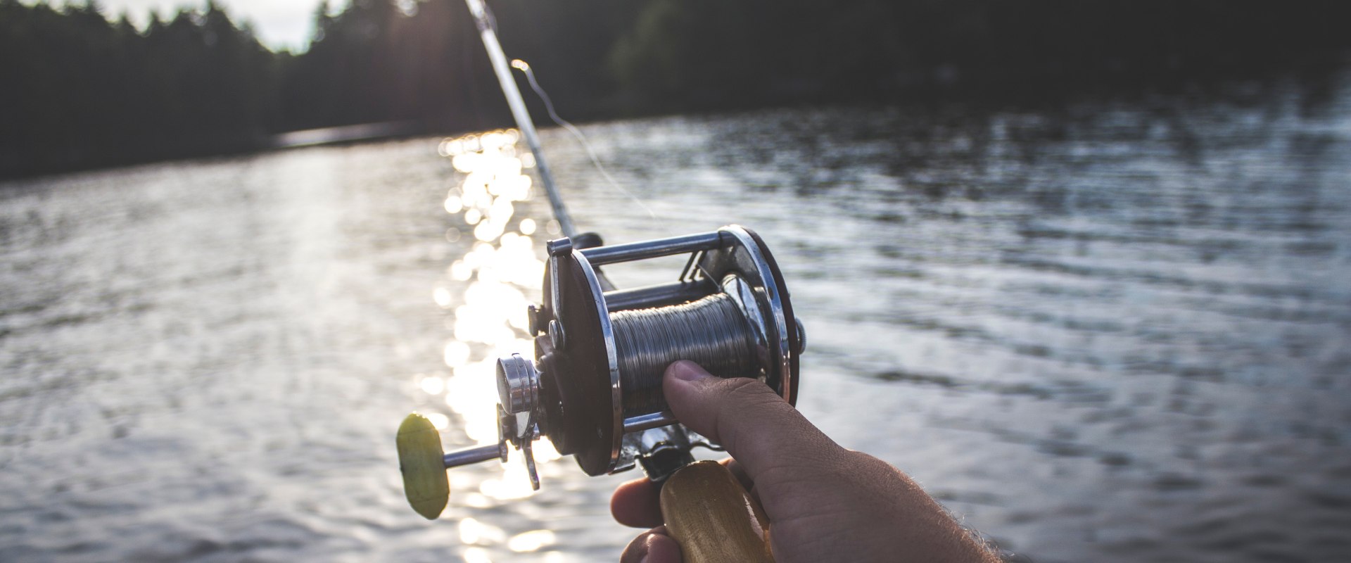 The Cruel Reality of Recreational Fishing