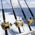 Experience the Thrill of Fishing Charters in Los Angeles