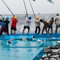 The Benefits of Sustainable Fishing for the Environment