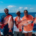 Where to fish charters?