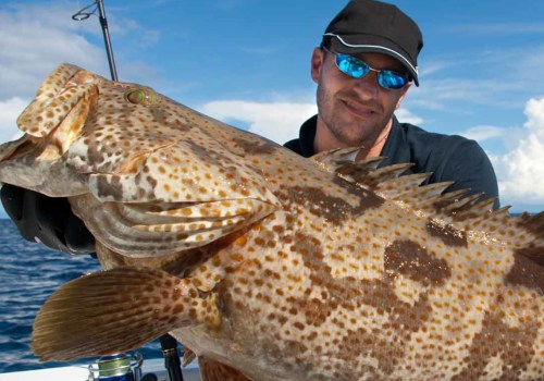 How much are fishing charters in florida?