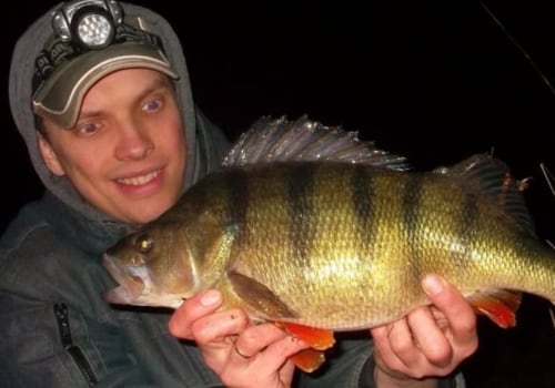 Why Fishing is Fun and Relaxing