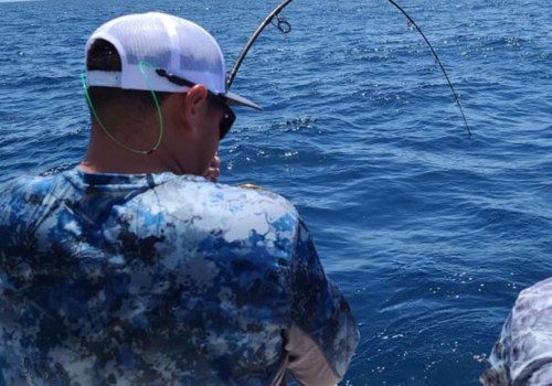 The Best Saltwater Fishing Rods: A Comprehensive Guide
