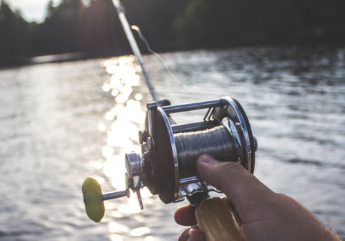 The Cruel Reality of Recreational Fishing