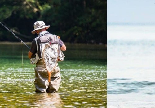 Is Saltwater Fishing Easier Than Freshwater Fishing?
