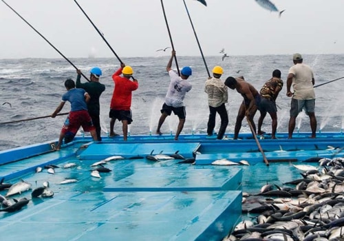 The Benefits of Sustainable Fishing for the Environment